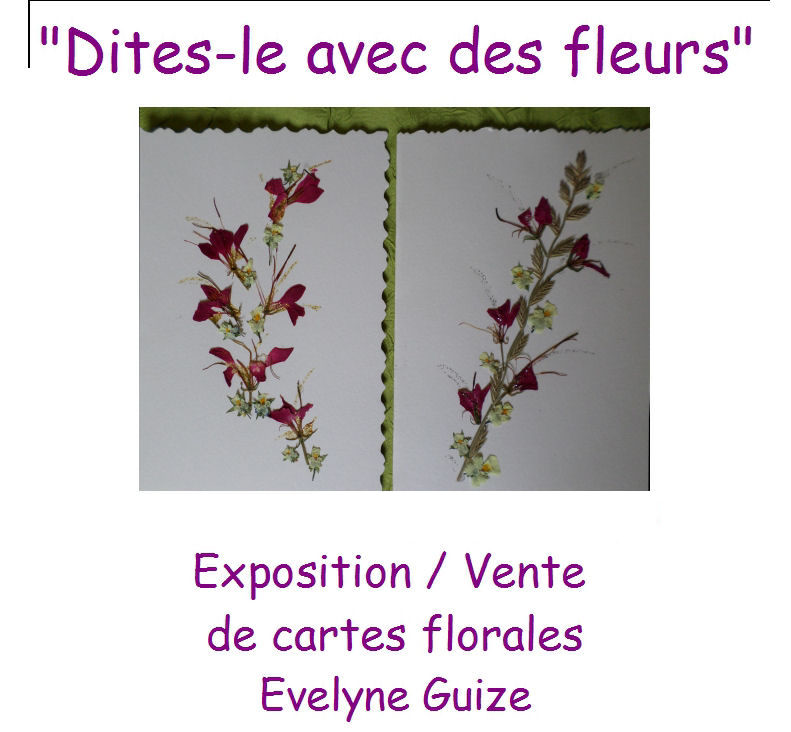 evelyne guize